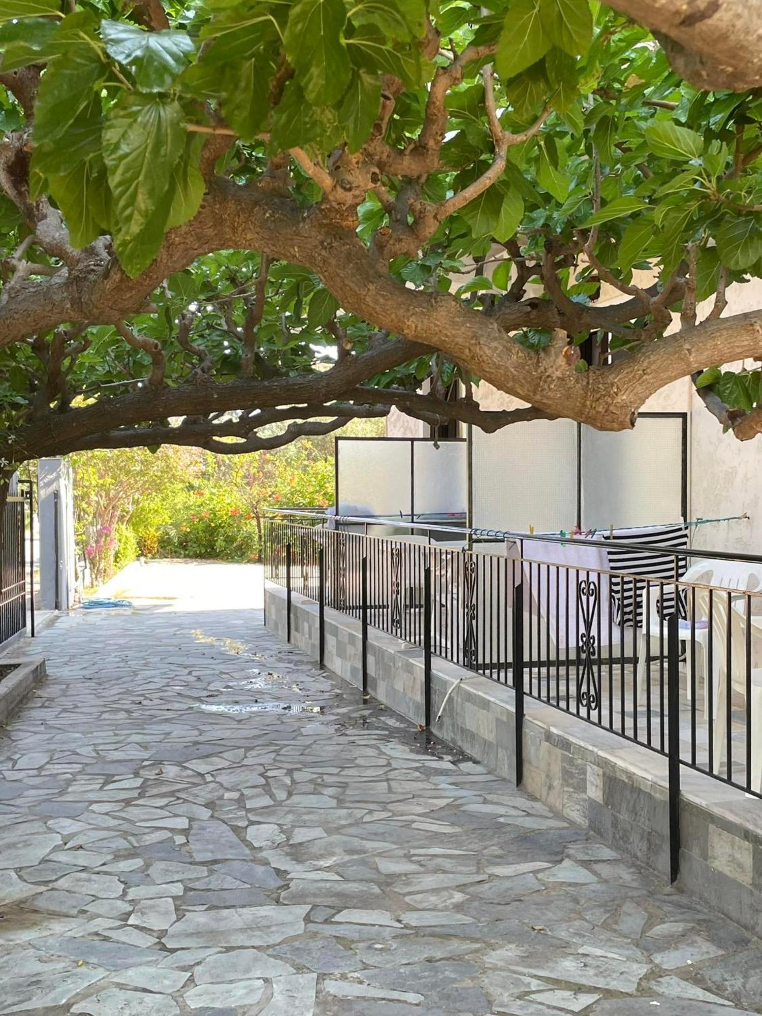 Yfantis Sakis Apartment'S Erateini Exterior photo