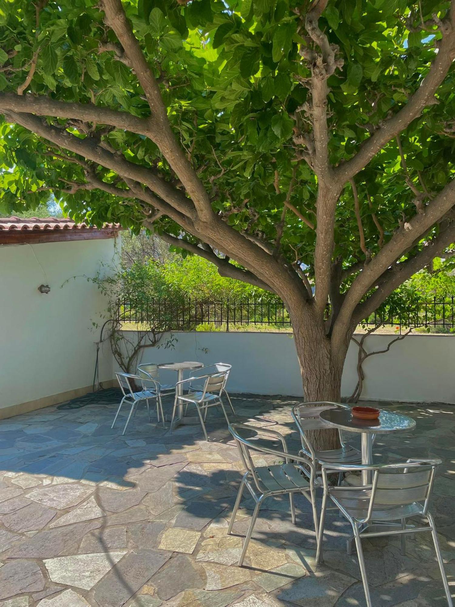 Yfantis Sakis Apartment'S Erateini Exterior photo